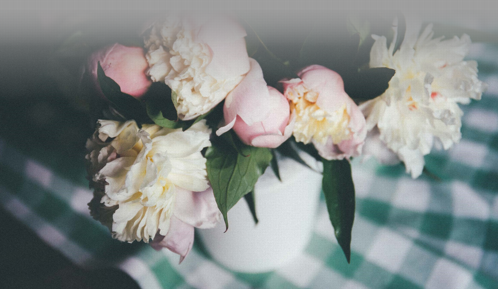 Header Banner Image