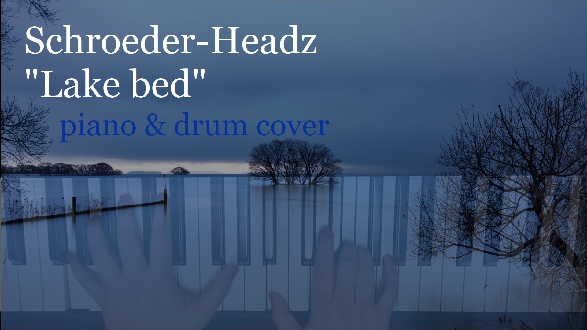 Schroeder Headz Lake Bed Piano Drum Cover Life With ｍusic